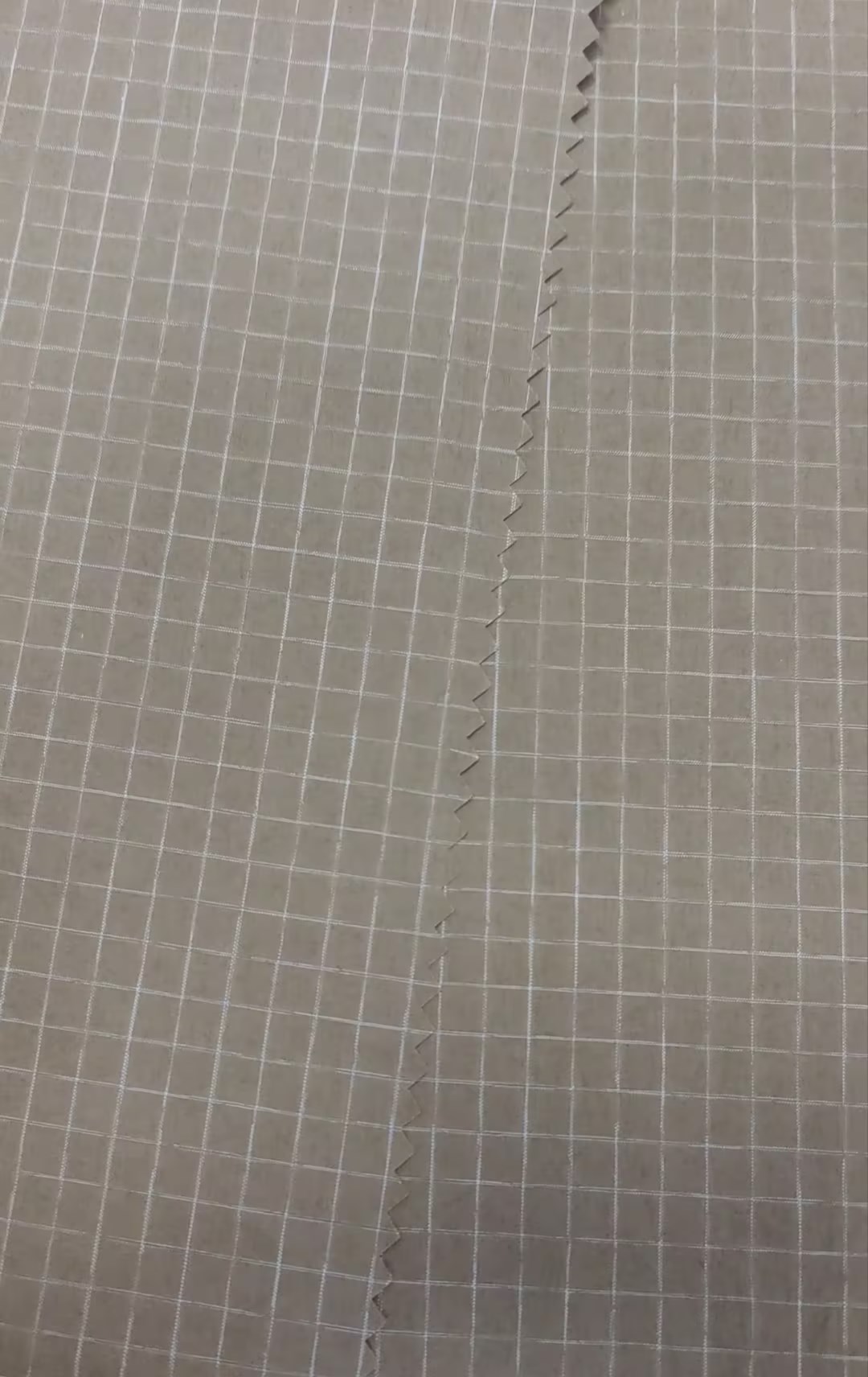 SP00154 260T锦涤平纹双线格