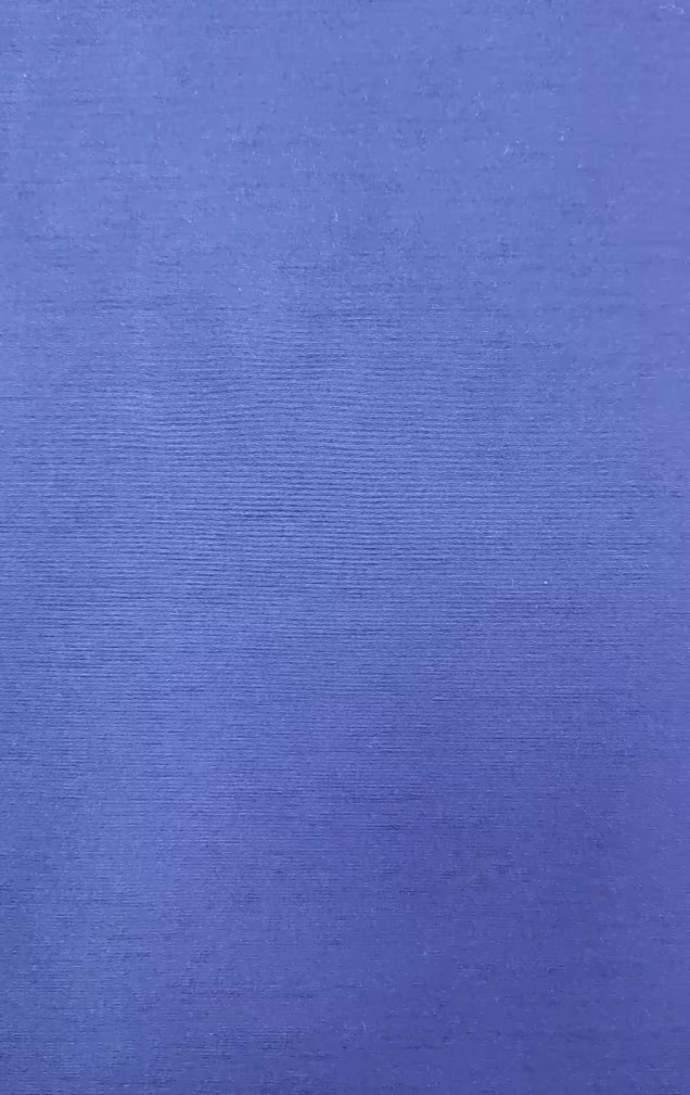SP00136 花蕾丝横条T800