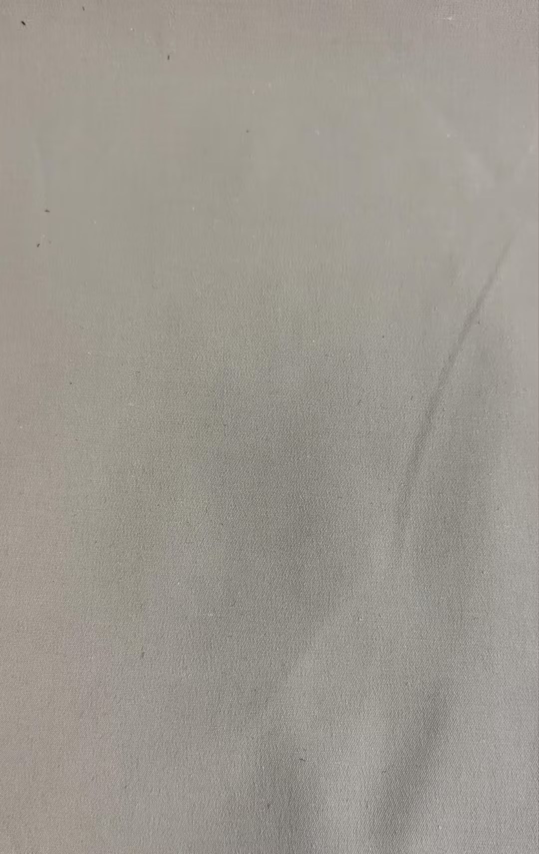 SP00241 32S 2/1斜弹力锦棉